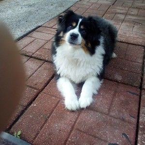 Meet your Posher, Brenda